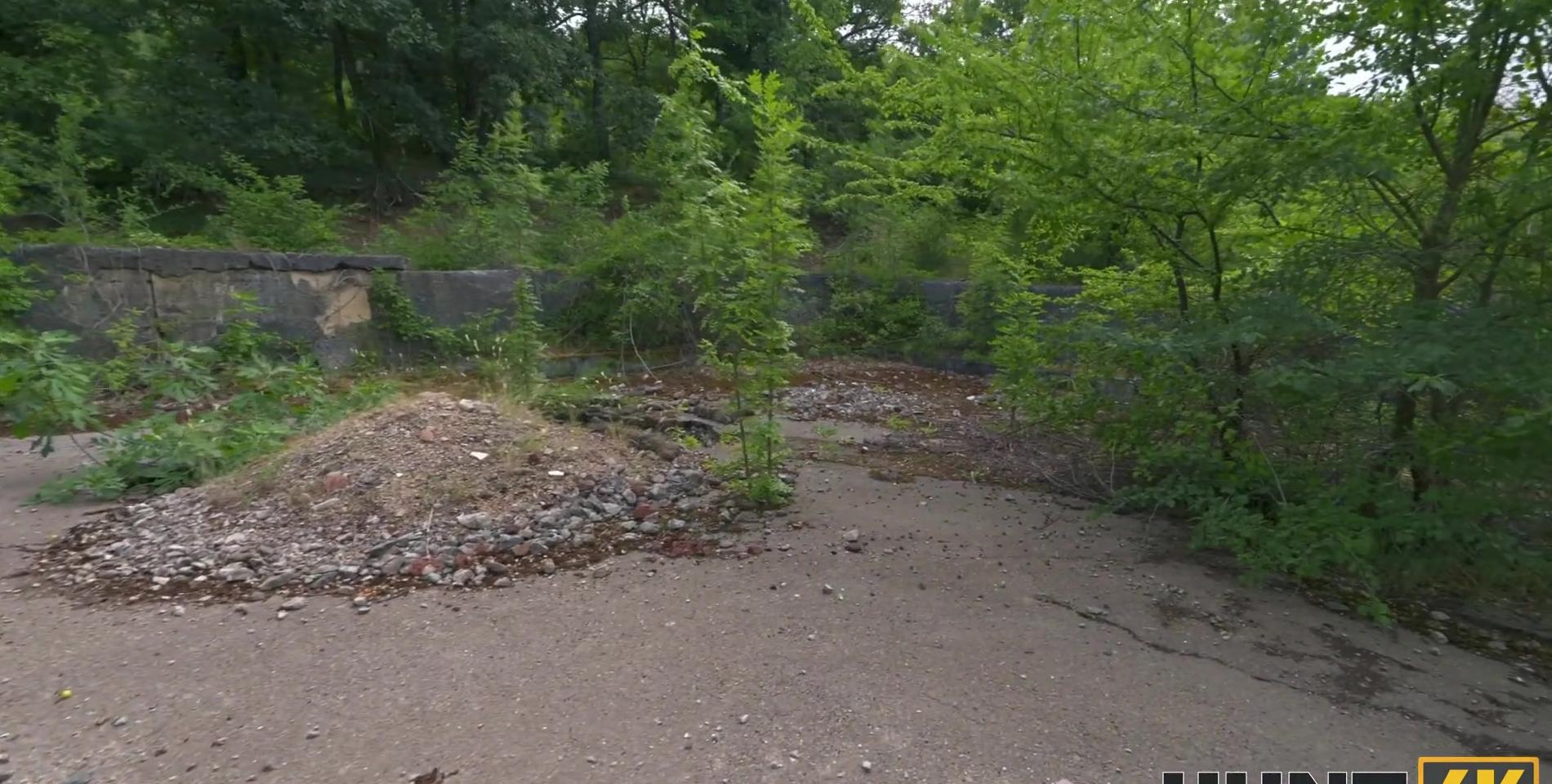 197_shot1.jpg